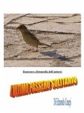 L'ultimo passero solitario (eBook, ePUB)