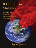 Il genietto Maligno (eBook, PDF)