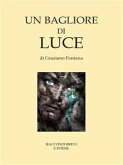 Un bagliore di luce (eBook, ePUB)