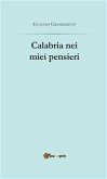 Calabria nei miei pensieri (eBook, ePUB)