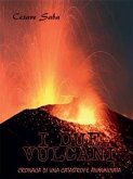 I due vulcani - ( Cronaca di una catastrofe annunciata) (eBook, ePUB)