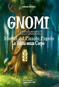 Cover Gnomi e fantasmi (eBook, ePUB)