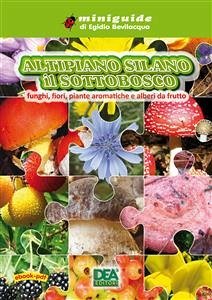 Altipiano Silano il Sottobosco (eBook, PDF) - Bevilacqua, Egidio