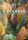 Calabria gran bosco (eBook, PDF)