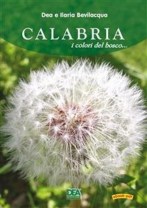 Cover Calabria i colori del bosco (eBook, PDF)