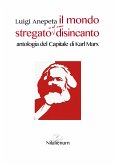 Il mondo stregato e il suo disincanto (eBook, ePUB)