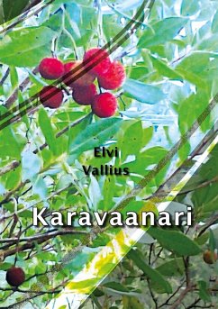 Cover Karavaanari (eBook, ePUB)