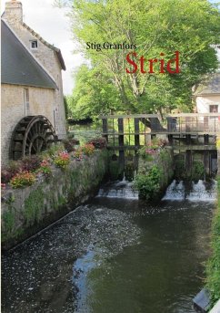 Strid (eBook, ePUB)