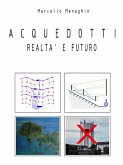 Acquedotti realtà e futuro (eBook, ePUB)