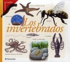 Los invertebrados