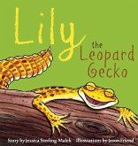 Lily the Leopard Gecko Lily the Leopard Gecko