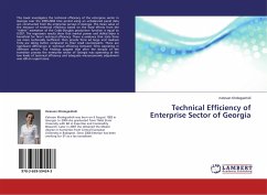 Technical Efficiency of Enterprise Sector of Georgia