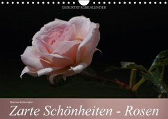 Zarte Schönheiten - Rosen (Wandkalender immerwährend DIN A4 quer) - Schumann, Bianca