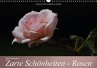 Zarte Schönheiten - Rosen... - Bild 1