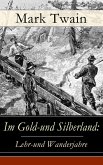 Im Gold-und Silberland: Lehr-und Wanderjahre (eBook, ePUB)