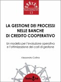 La gestione dei processi nelle Banche di Credito Cooperativo (eBook, ePUB)