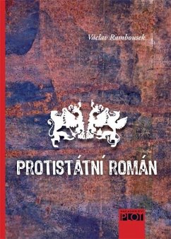 Protistátní román (eBook, ePUB) - Rambousek, Václav