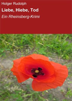 Liebe, Hiebe, Tod (eBook, ePUB) - Rudolph, Holger