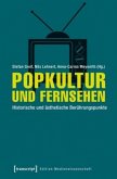 Popkultur und Fernsehen