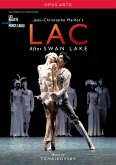 Lac After Swan Lake