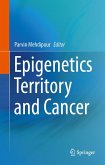 Epigenetics Territory and Cancer
