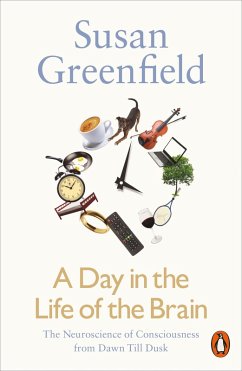 Cover A Day in the Life of the Brain