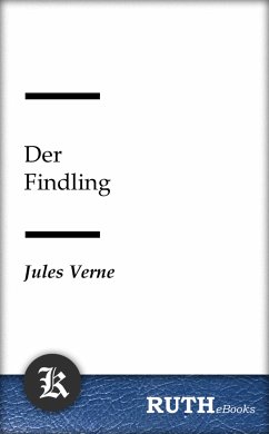 Der Findling (eBook, ePUB) - Verne, Jules