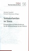 Soldatenfamilien im Stress (eBook, PDF)