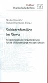 Soldatenfamilien im Stress (eBook, ePUB)