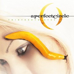 Thirteenth Step - A Perfect Circle