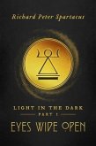 Light in the Dark (eBook, ePUB)