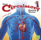 Your Circulatory System Works!