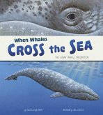 When Whales Cross the Sea: The Gray Whale Migration