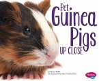 Pet Guinea Pigs Up Close