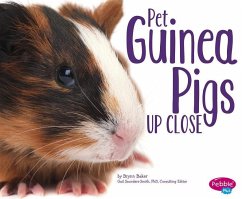 Pet Guinea Pigs Up Close - Baker, Brynn