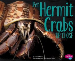 Pet Hermit Crabs Up Close - Wittrock, Jeni