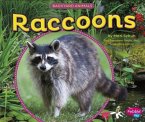 Raccoons