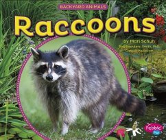 Raccoons - Schuh, Mari