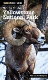 Nature Guide to Yellowstone National Park