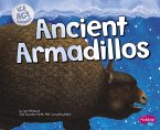 Ancient Armadillos