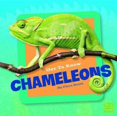 Get to Know Chameleons - Brett, Flora