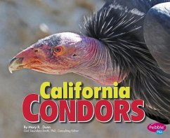 California Condors - Dunn, Mary R.