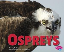 Ospreys - Dunn, Mary R.