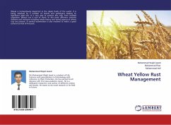 Wheat Yellow Rust Management