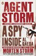 Agent Storm (eBook, ePUB) - Bild 1