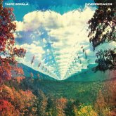 Innerspeaker (2lp)