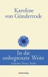In die unbegrenzte Weite (eBook, ePUB) - Bild 1