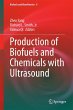 Production of Biofuels and Chemicals... - Bild 1