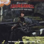 Dragons - Die Wächter von Berk - Das Drachenflugverbot