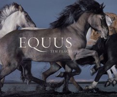 Equus (Mini) - Flach, Tim